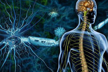 بررسی اثرات ضد التهابی، حفاظتی و ترمیمی داروی دفریپرون در مدل آزمایشگاهی بیماری ام. اس