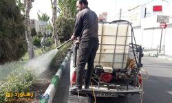آغاز عملیات سمپاشی درختان بوستان ها و گیاهان سطح شهر در شهر اندیشه