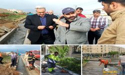 ادامه خدمت رسانی جهادی مدیریت شهری ملارد در سال نو