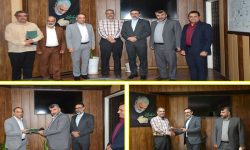 انتصاب سرپرست مدیریت منابع انسانی شهرداری ملارد