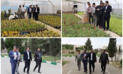 بازدید میدانی شهردار قدس از سطح شهر با محوریت «بوستان‌ها و فضای سبز»