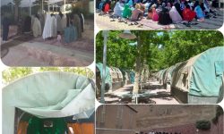 اعزام دانش آموزان پرند به اردوگاه امام خمینی (ره) در لواسان