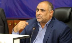 با جوجه‌ریزی ماهانه ۱۳۰ میلیون قطعه، نیاز بازار مرغ تامین می‌شود