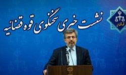 توضیحات سخنگوی قوه قضائیه درباره محکومیت مهدی هاشمی