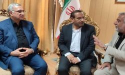 وزیر بهداشت: ۳۷۰ دستگاه آمبولانس به زائران اربعین حسینی خدمات رسانی می کند