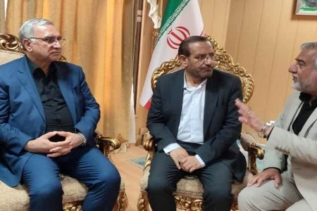 وزیر بهداشت: ۳۷۰ دستگاه آمبولانس به زائران اربعین حسینی خدمات رسانی می کند