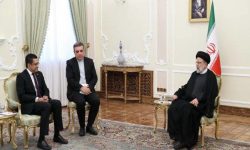 آمادگی داریم توانمندی‌های ایران را با کشورهای دوست مثل سریلانکا به اشتراک بگذاریم