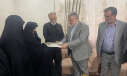 تقدیر استاندار تهران از مادر شهید “محمود دکامئی”