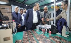 بازدید میدانی مدیرعامل سازمان منطقه آزاد انزلی از واحدهای تولیدی