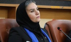 صنم امین؛ گیل زنی که از دل صنعت برخاست و به نماد مدیریت تکنوکرات در گیلان تبدیل شد