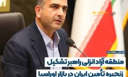 طاعتی‌مقدم: منطقه آزاد انزلی راهبر تشکیل زنجیره تأمین ایران در بازار اوراسیا