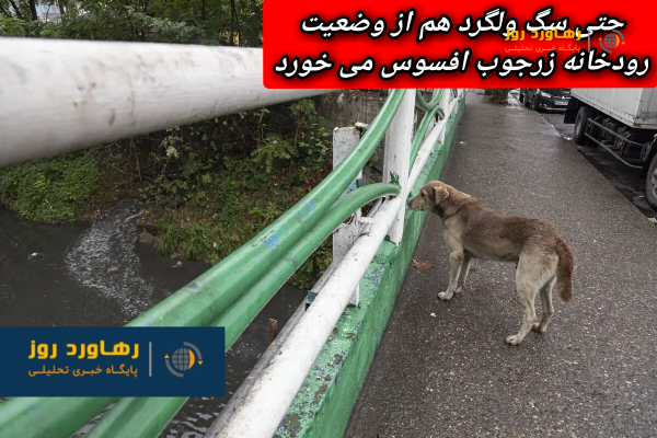 روایت یوسف هاشمی براگوری، از وضعیت اسفناک رودخانه های رشت در طول تمام شش دوره شورای شهر رشت